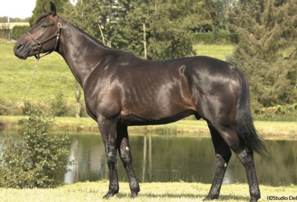 PRINCE D’ESPACE