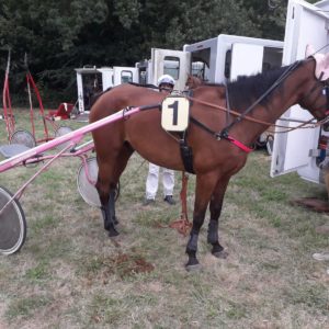 Jospinet dela frad 1'15"9