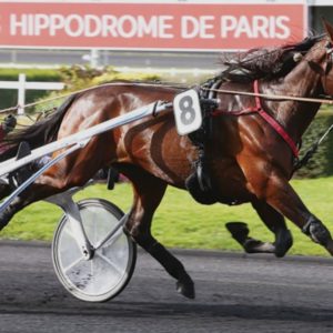 1 part d'étalon Diablo du noyer