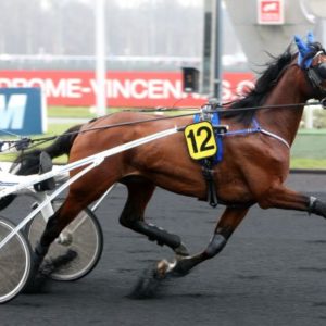 Severino: 1 part d'étalon