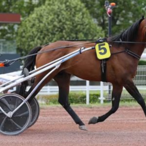 Kaviarissime: 1 part d'étalon