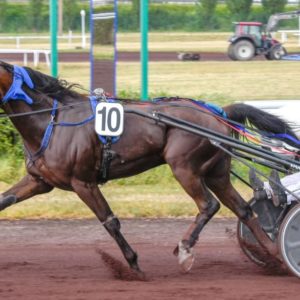 Knowledge de Jema: 1 part de 10%