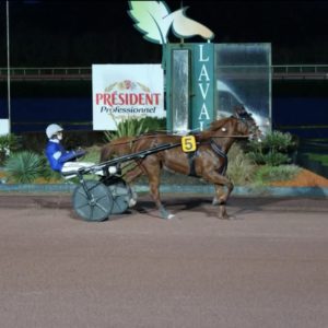 Lara Vrie: 1 part de 10%