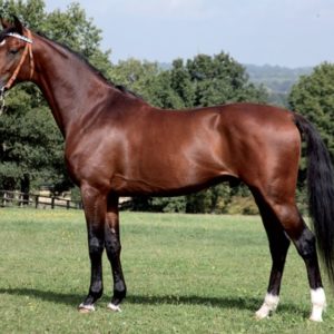 Severino (ou contre % prime)