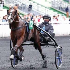 HEAVEN'S Pride (ou contre % prime)